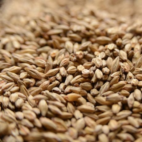 Gambrinus Honey Malt