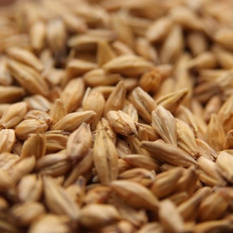 Weyermann® Acidulated Malt