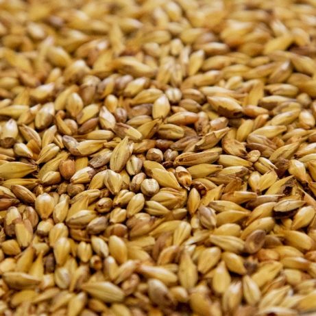 Dingemans Cara-Vienne Malt